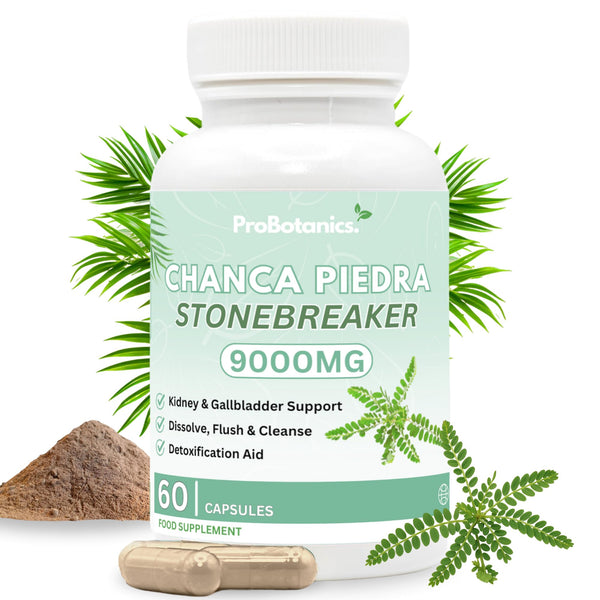 Chanca Piedra Stone Breaker capsules — bottle front with 60 capsules label, loose powder and capsules