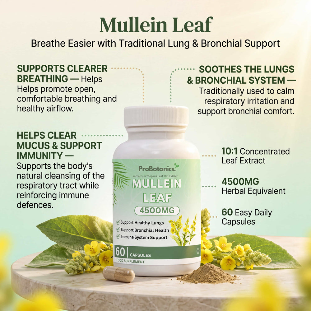 Mullein Leaf — the product in context
