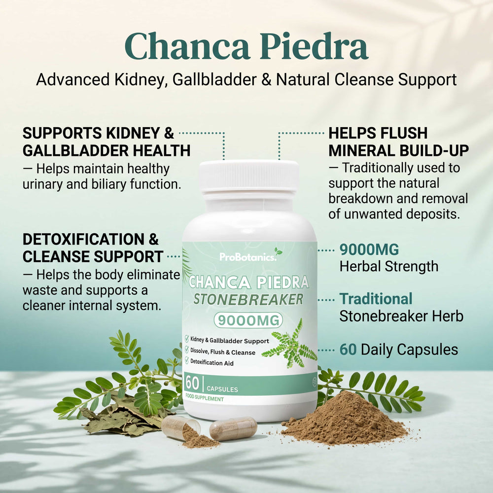 Chanca Piedra — the product in context