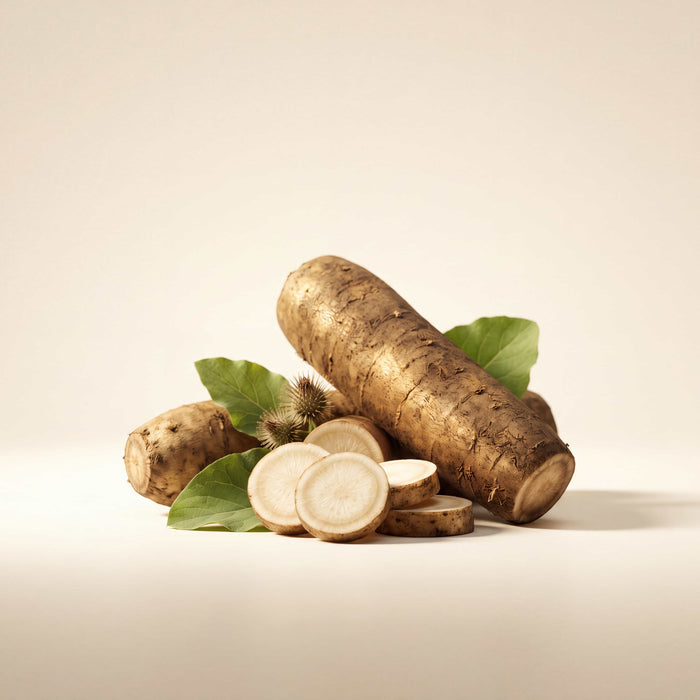 Burdock Extract