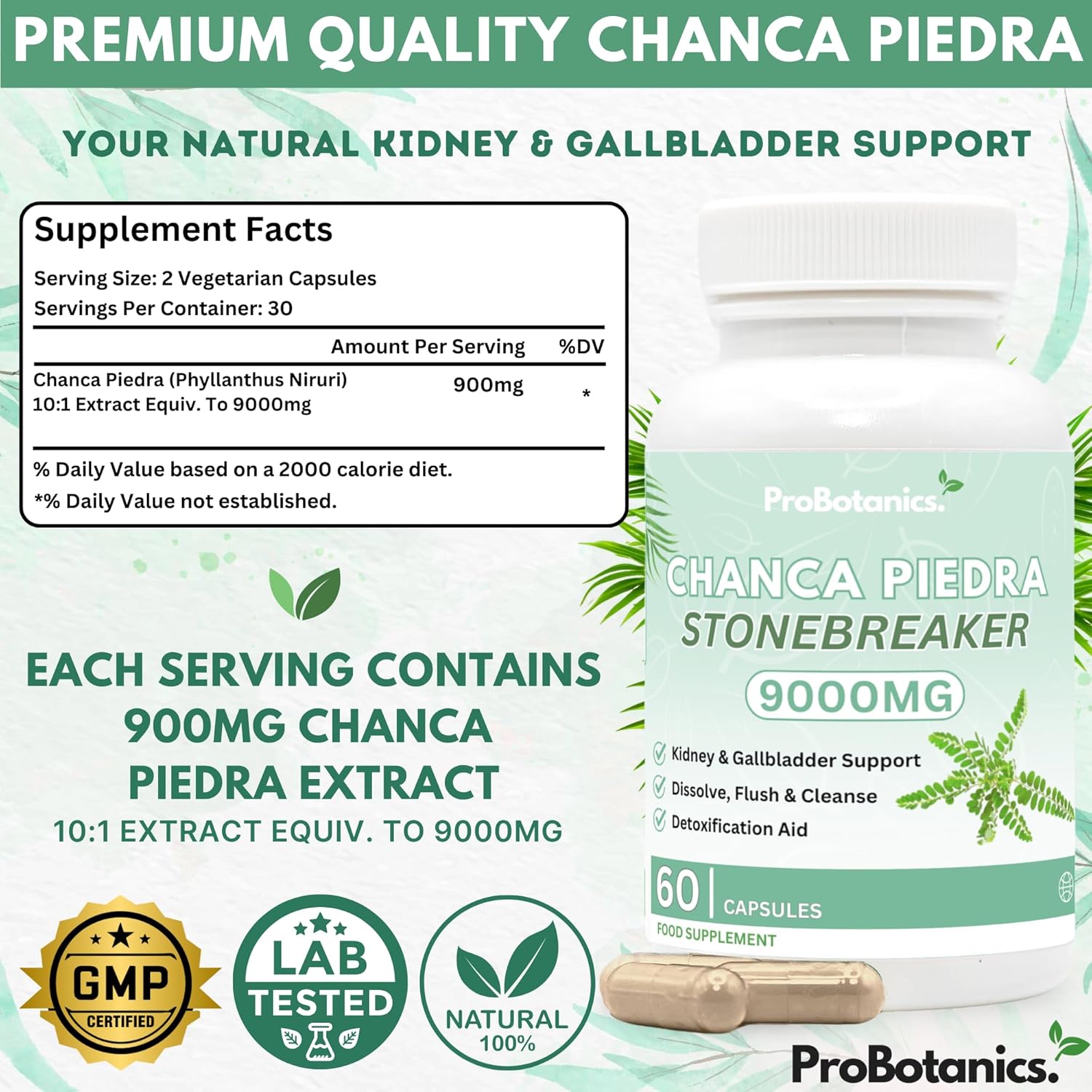 Chanca Piedra Stone Breaker Capsules