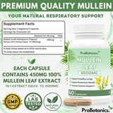 Mullein Leaf Capsules