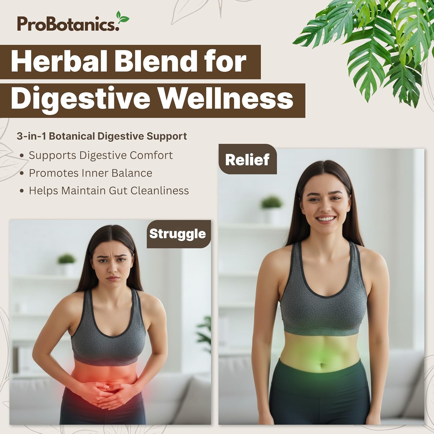 Wormwood Black Walnut and Clove Capsules