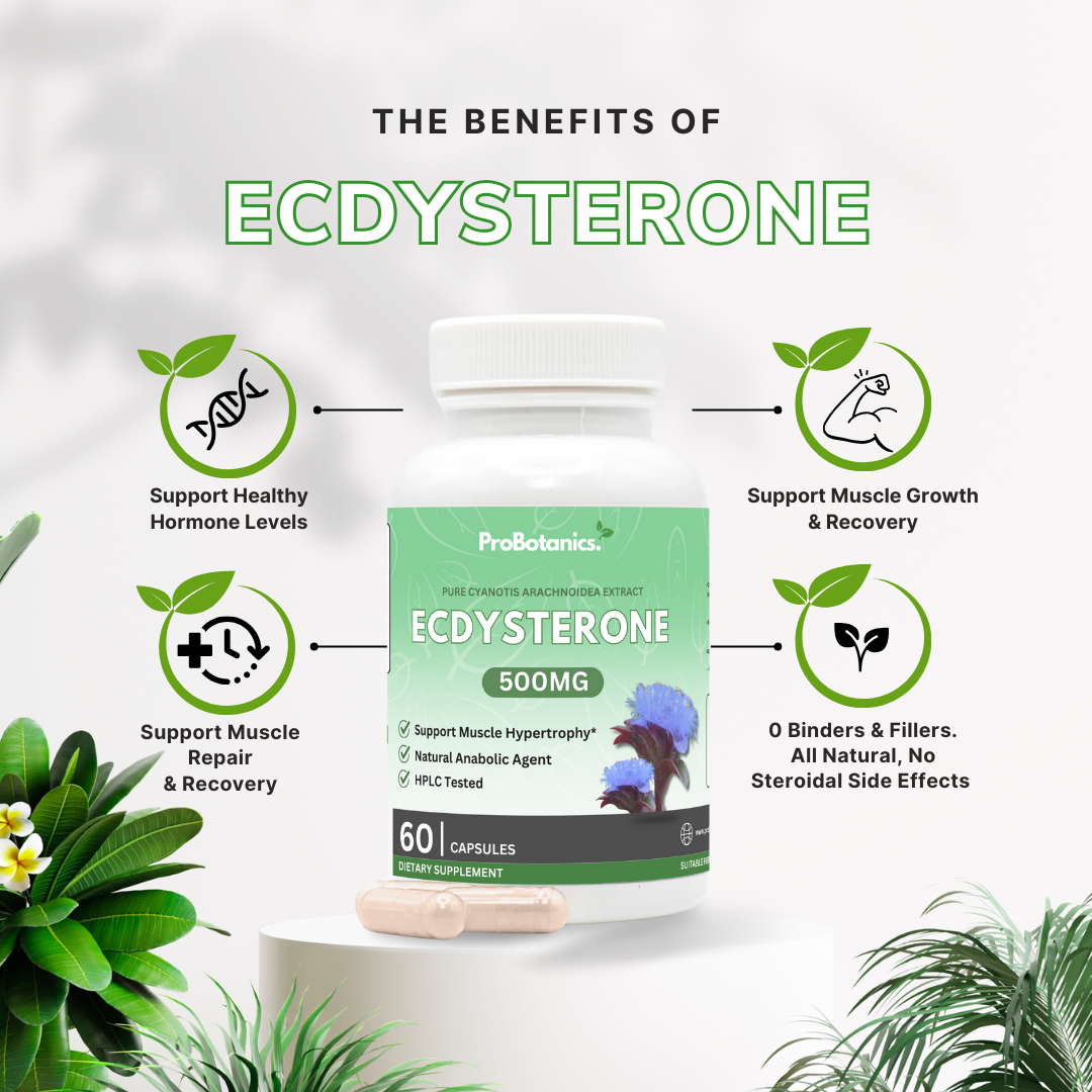 Ecdysterone