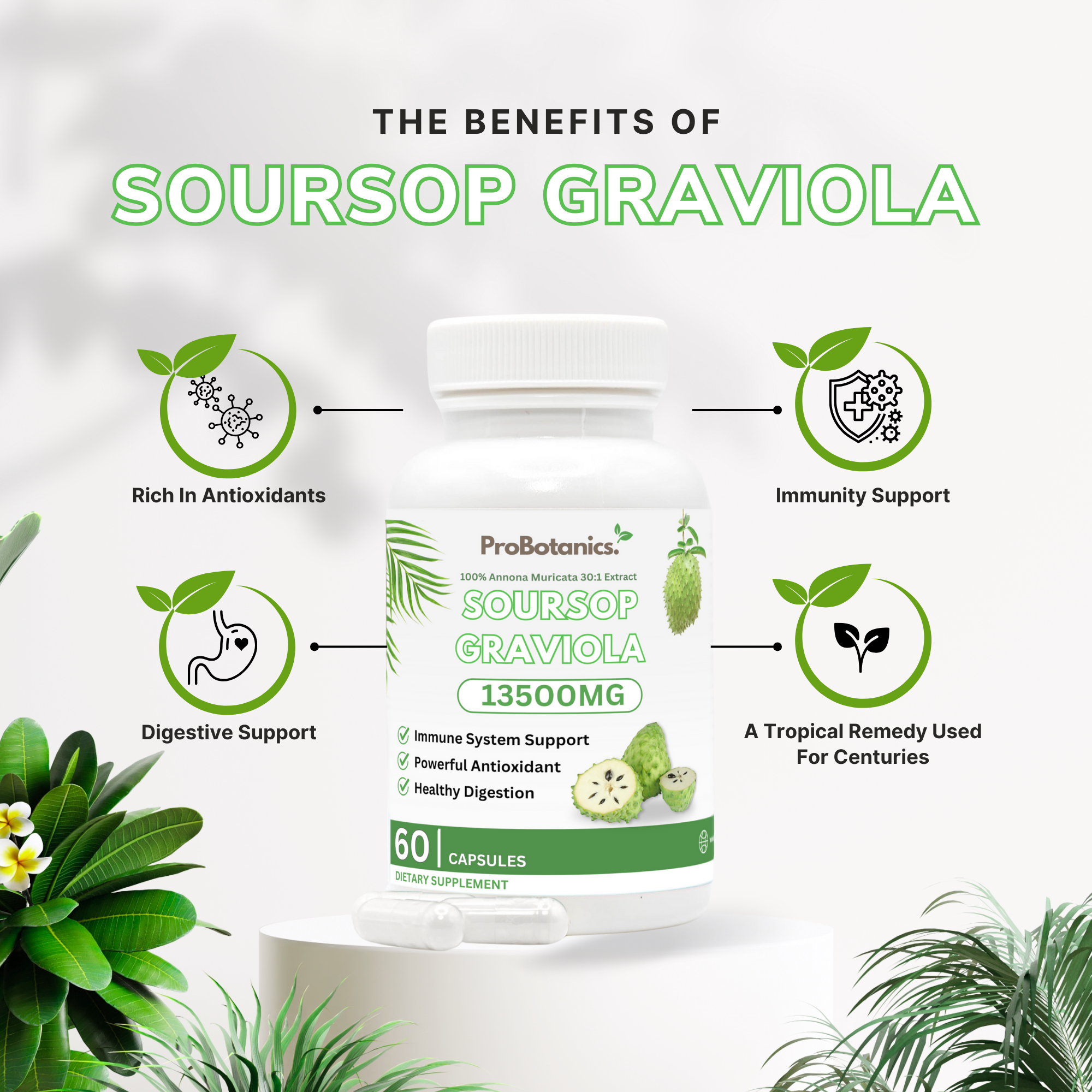 Organic Soursop Graviola