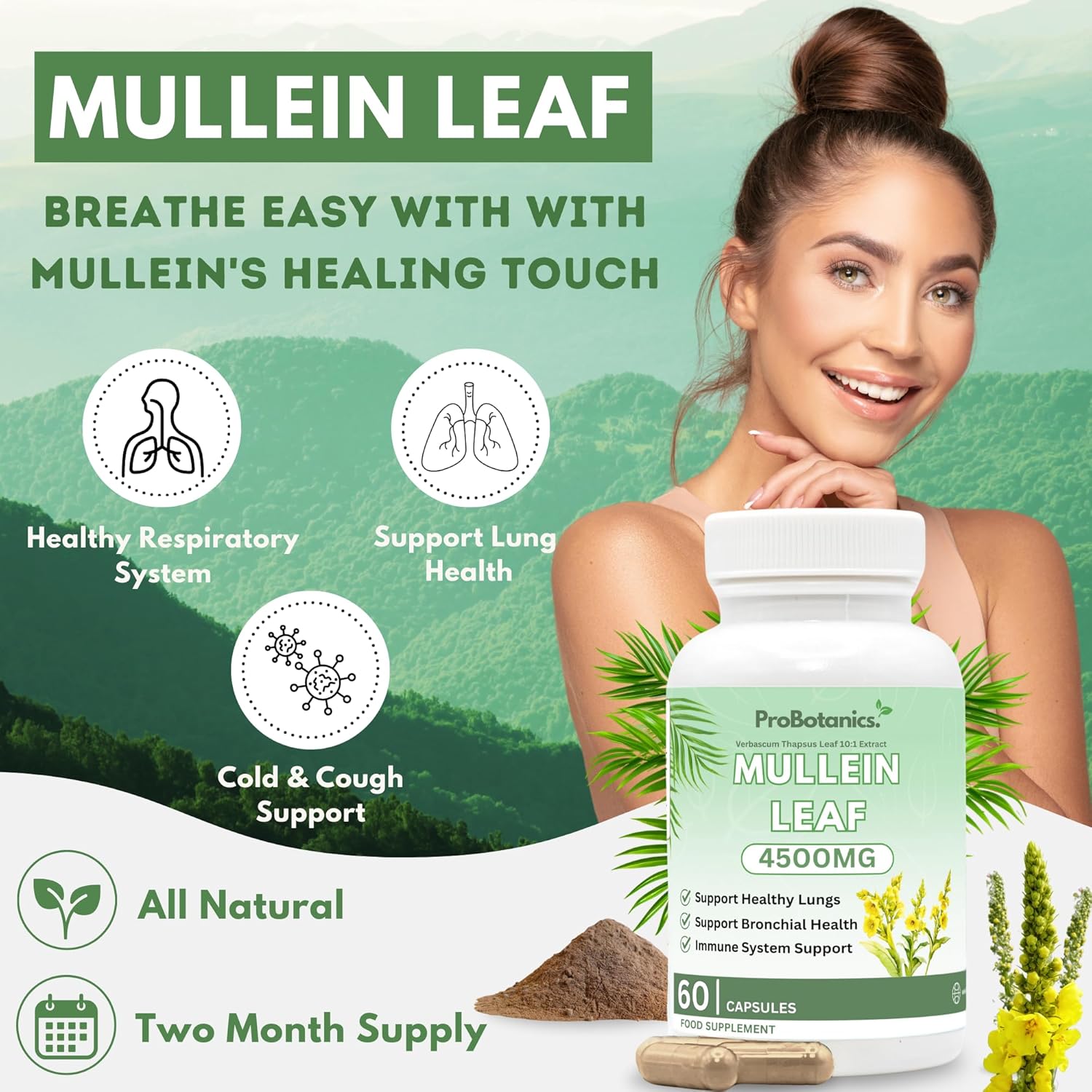 Mullein Leaf Capsules
