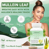 Mullein Leaf Capsules