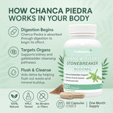 Chanca Piedra Stone Breaker Capsules