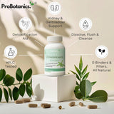 Chanca Piedra Stone Breaker Capsules