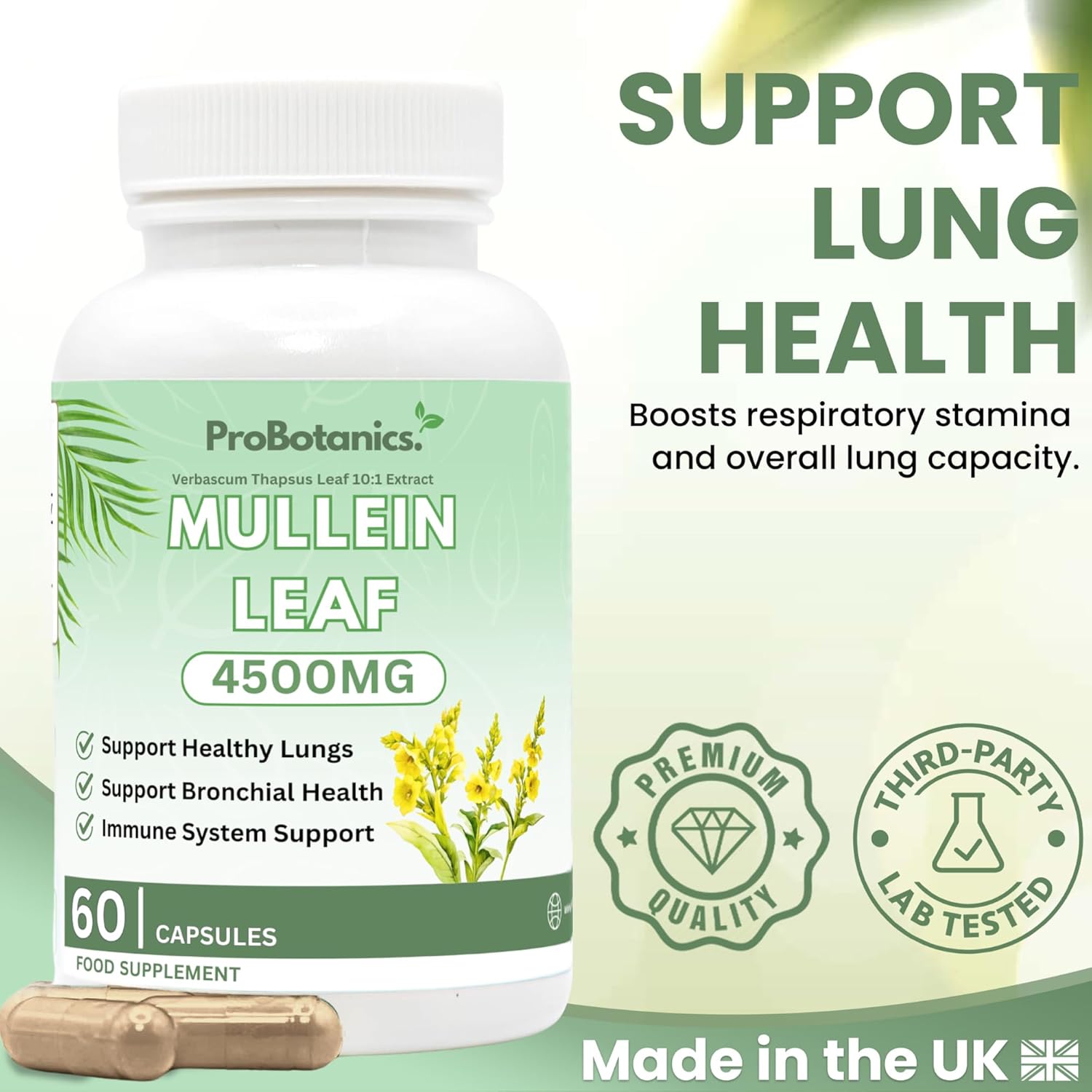 Mullein Leaf Capsules