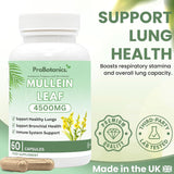 Mullein Leaf Capsules