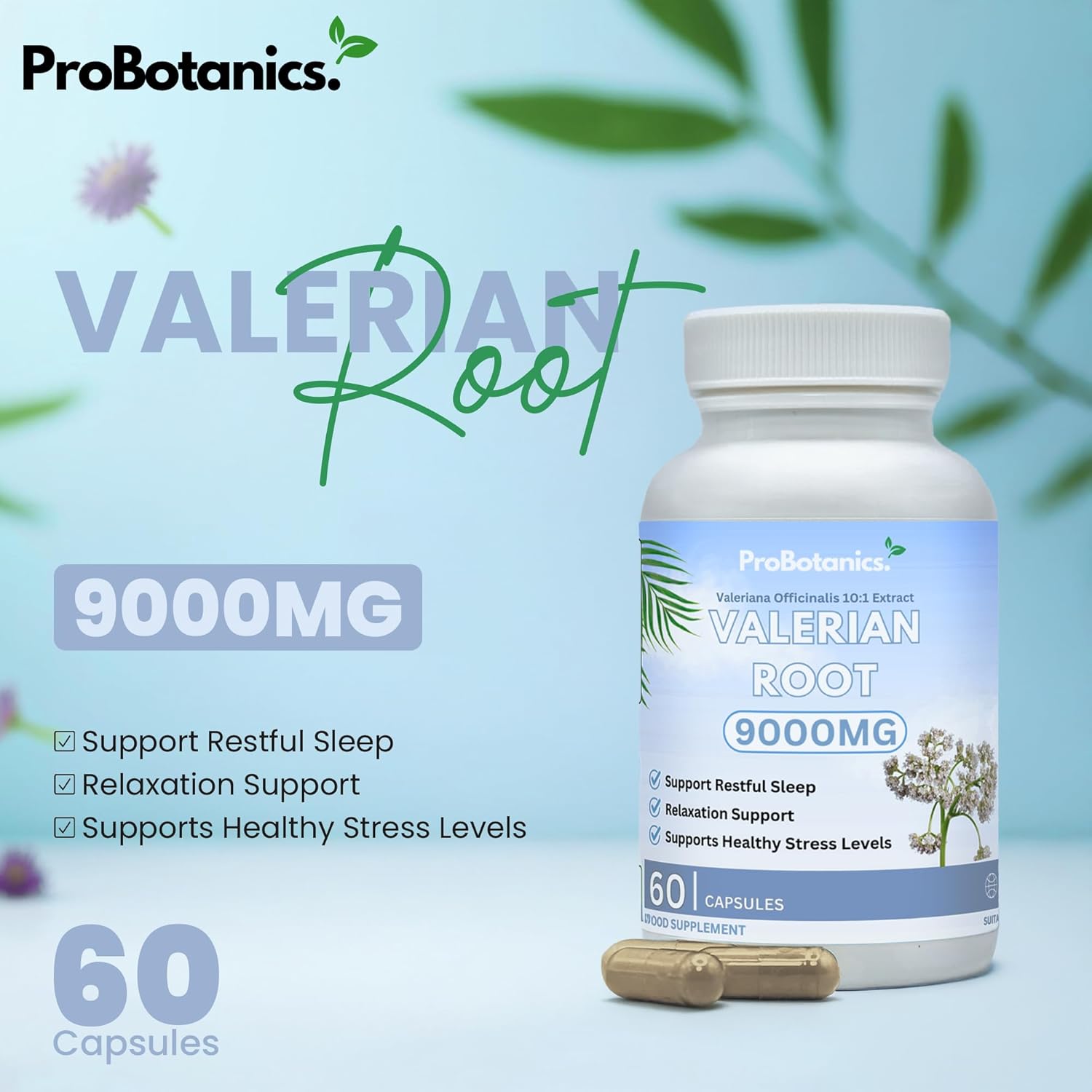 Valerian Root Capsules