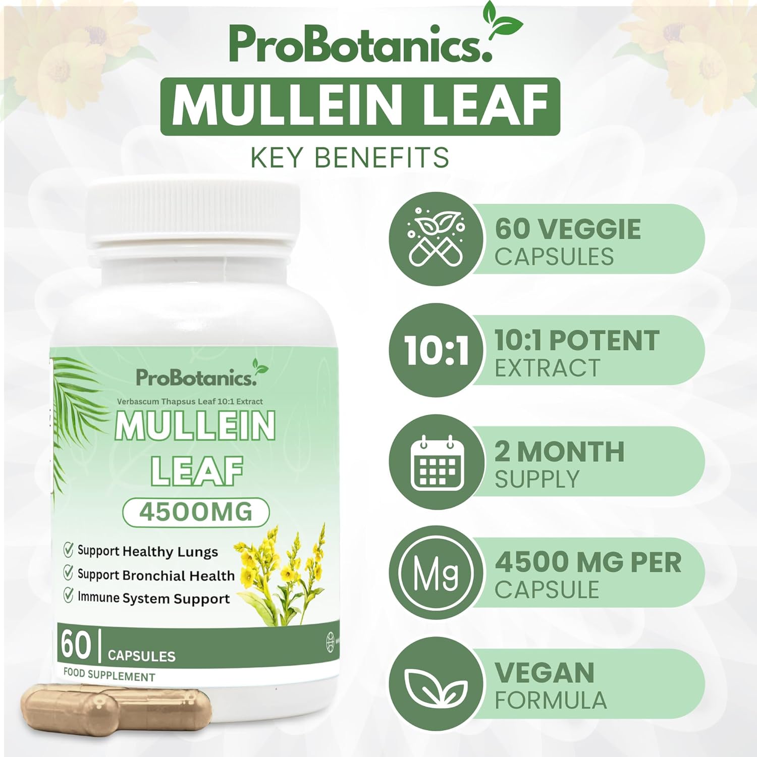 Mullein Leaf Capsules