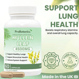 Mullein Leaf capsules — bottle close-up with premium quality and third-party lab tested badges, made in the UK