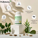 Mullein Leaf capsules — bottle on plinth with product feature icons and loose capsules among green leaves