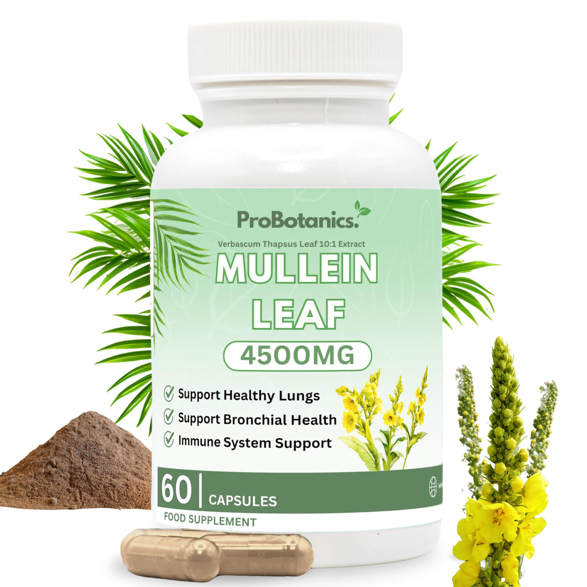 Mullein Leaf capsules — bottle front with 4500mg label, loose capsules, powder and yellow mullein flowers
