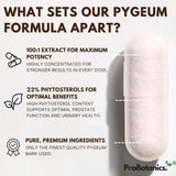 Pygeum Africanum capsules — close-up of a single capsule with formula information callouts