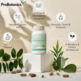 Chanca Piedra Stone Breaker capsules — bottle on white plinth with leaves, capsules and feature icons