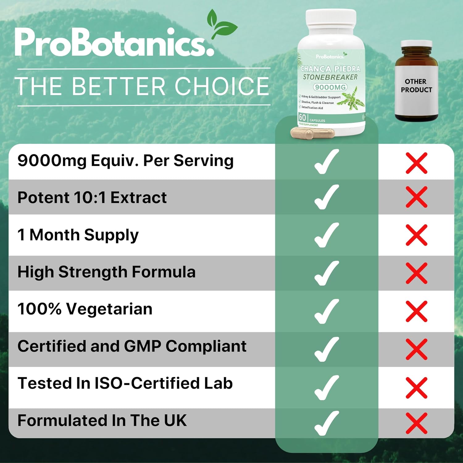 Chanca Piedra Stone Breaker Capsules