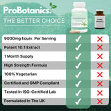 Chanca Piedra Stone Breaker Capsules