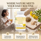 St John's Wort Capsules — lifestyle scene with woman drinking tea, bottle, dried herb and flowers