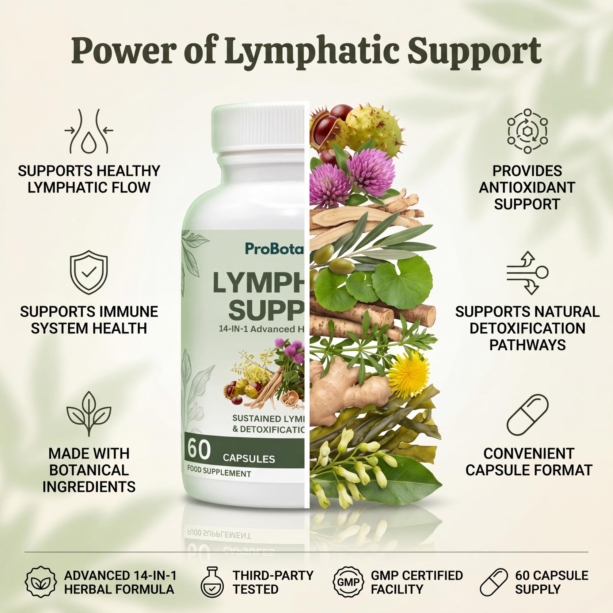 Lymphatic Support capsules — product information graphic with bottle and botanical ingredient illustrations
