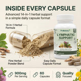 Lymphatic Support capsules — open capsule showing fine herbal powder blend, 900 mg per serving