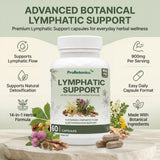 Lymphatic Support capsules — bottle on stone plinth with capsules, botanicals and product details