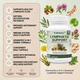 Lymphatic Support capsules — feature list graphic beside bottle with illustrated botanical ingredients