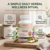 Kudzu capsules — daily capsule routine graphic with bottle, tea cup and root slices on kitchen worktop