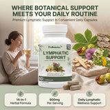 Lymphatic Support capsules — woman with herbal tea beside bottle, capsules and botanicals