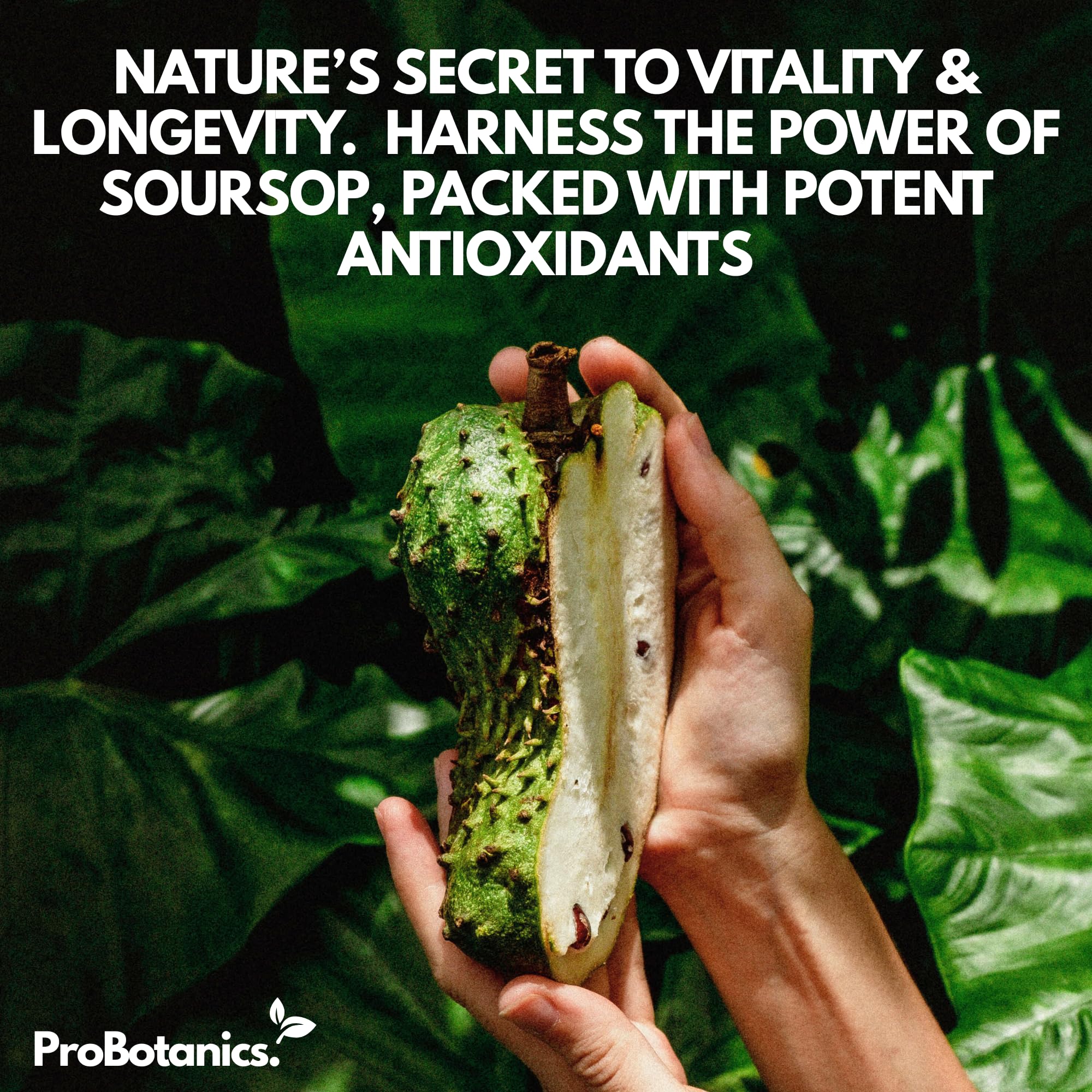 Soursop Liquid Drops — halved fresh soursop fruit held against tropical leaves
