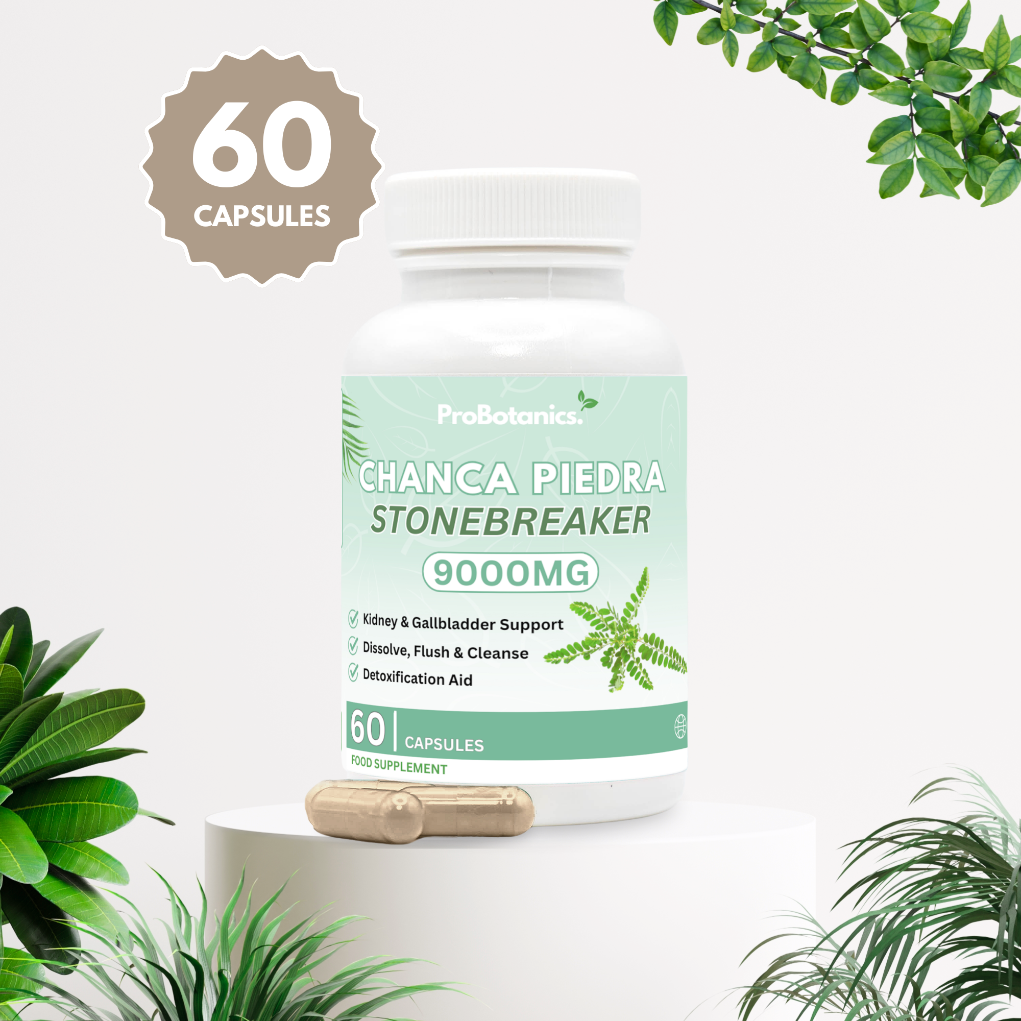 Chanca Piedra Stone Breaker Capsules