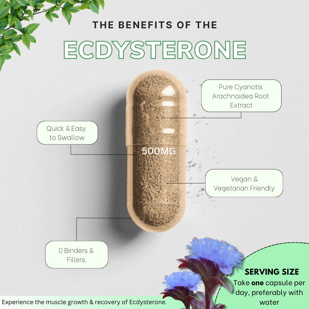 Ecdysterone