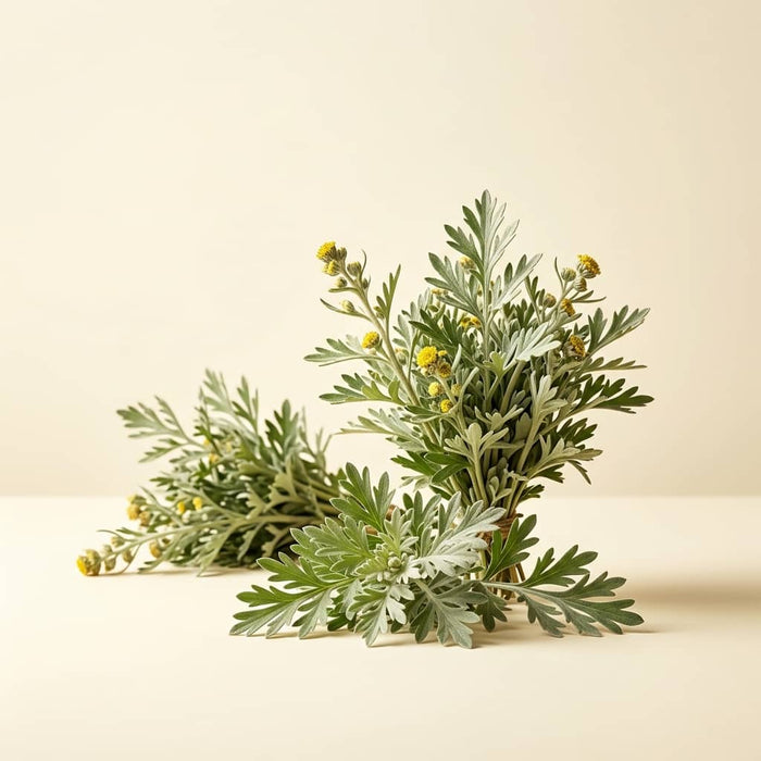 Wormwood Extract