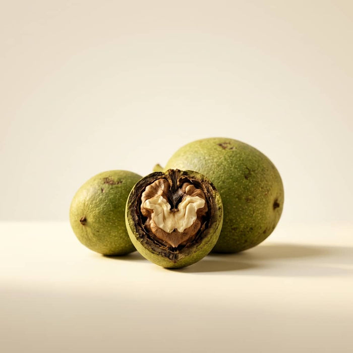 Black Walnut Hull Extract