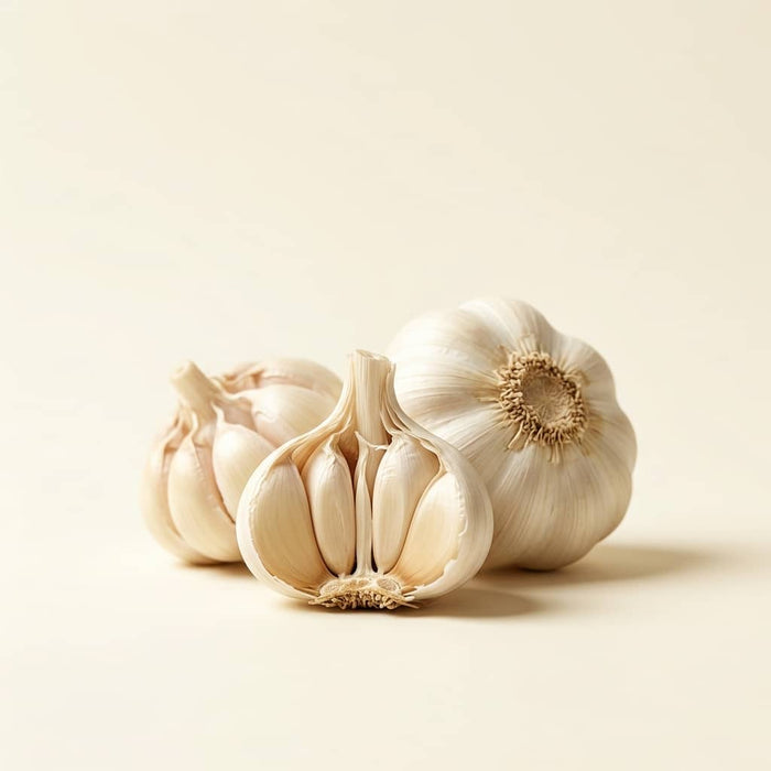 Garlic Bulb Extract