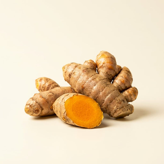 Turmeric Root Extract