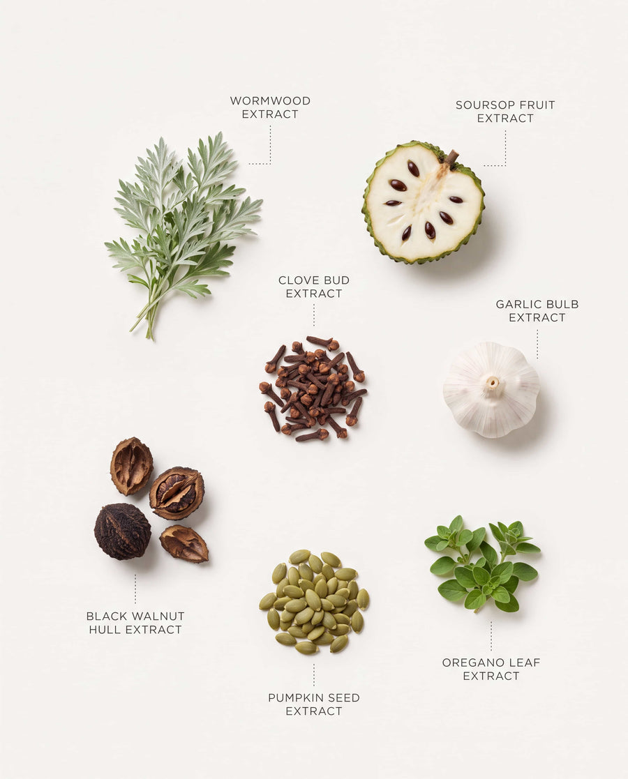 Wormwood, Black Walnut & Clove Drops — texture or ingredient macro