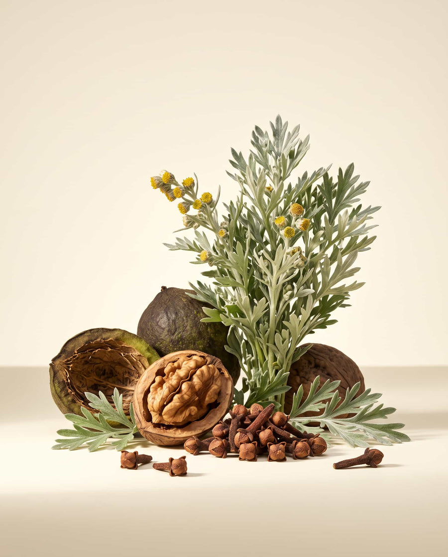 Wormwood, Black Walnut & Clove Capsules — texture or ingredient macro