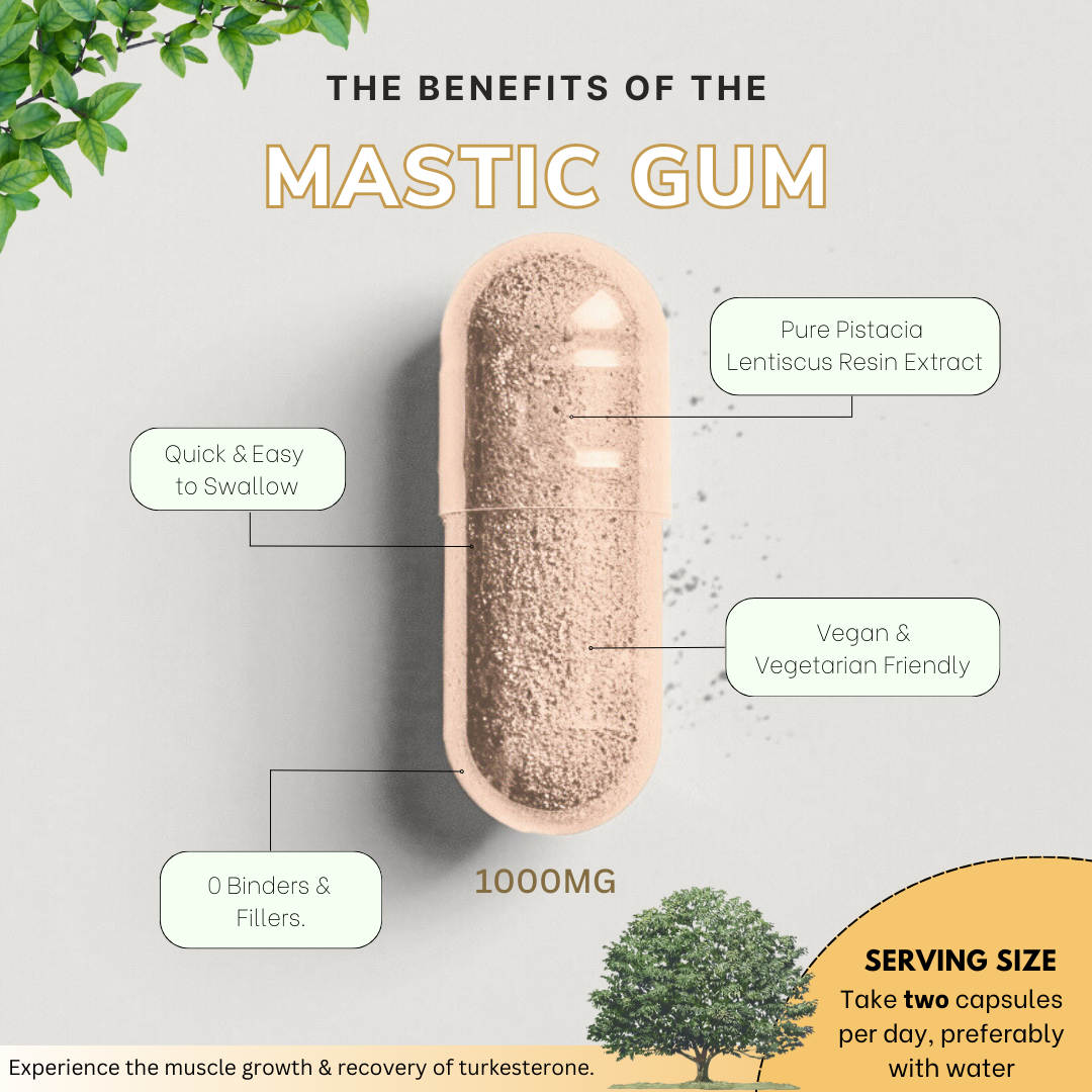 Mastic Gum