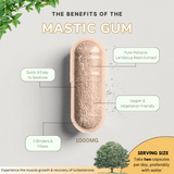 Mastic Gum