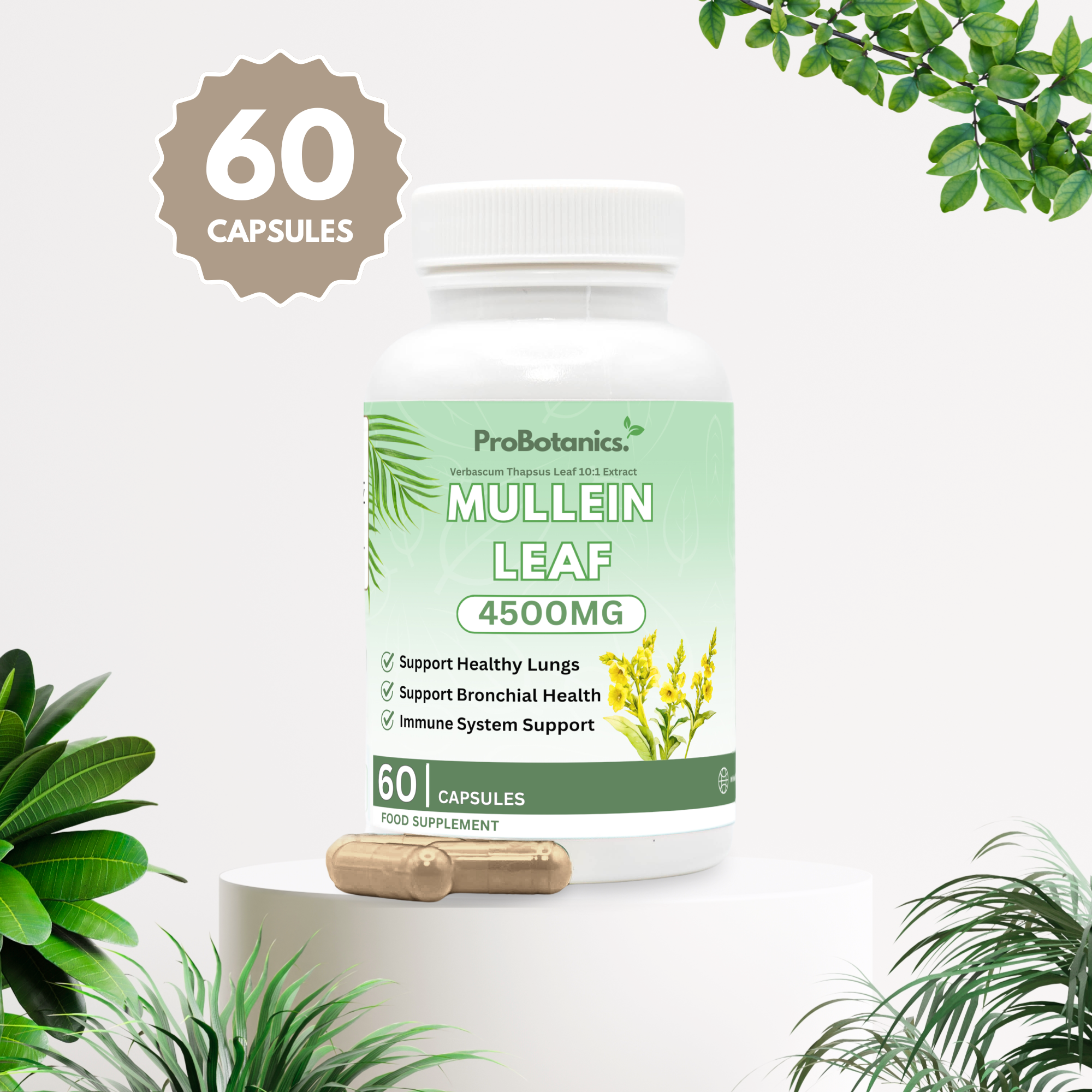 Mullein Leaf Capsules