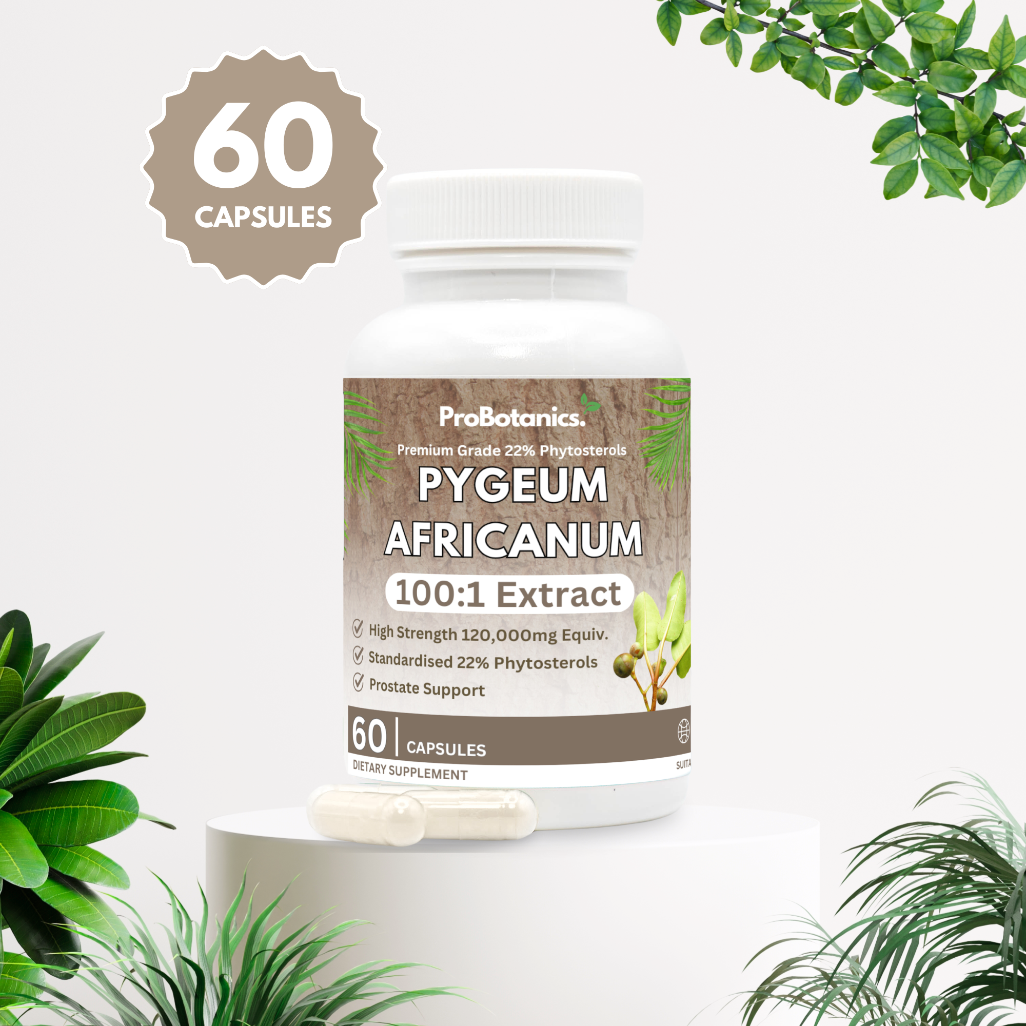 Premium Pygeum Africanum Capsules